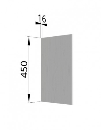 Панель торцевая (для шкафа горизонтального высокого) ВПГ Ройс (Графит софт) в Линёво - linyovo.mebel54.com | фото